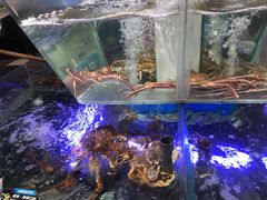 -盒马鲜生(悠方店)