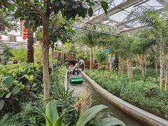 -南宫五洲植物乐园