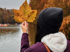 -上海海湾国家森林公园
