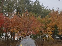 -东郊湿地公园
