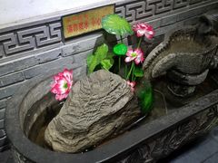 -窄巷子陕菜馆·地道陕西菜(粉巷店)