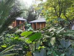 -大妙火锅·非物质文化遗产(东湖公园店)