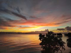 -宝安西湾红树林湿地公园