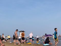 -碧海金沙