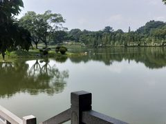 -东莞植物园