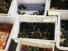 -中环花鸟鱼虫市场