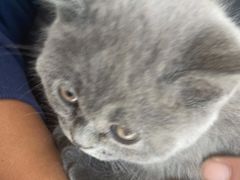 -宠福鑫康馨动物医院·骨科·眼科