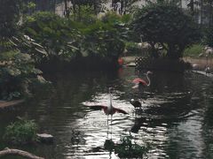 -九龙公园