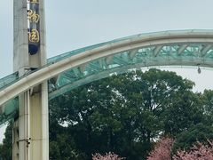 -南山植物园