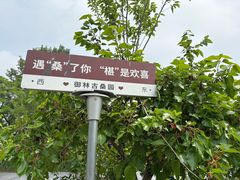 -御林古桑园