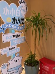 -丽都整形美容医院·全国连锁旗舰店