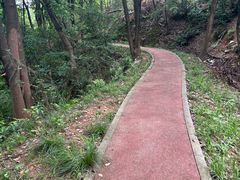 -桃花岭景区