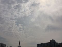 -全家便利店(沪青平公路四店)