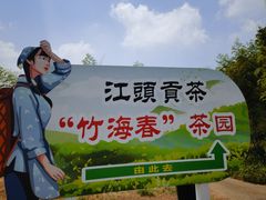-蔡伦竹海