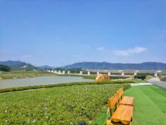 -光明小镇欢乐田园