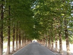 -嘉北郊野公园