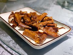 鹅掌亦-优之名鹅城