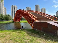 -长白岛森林公园