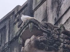 -音乐台