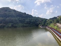 -黄埔油麻山森林公园