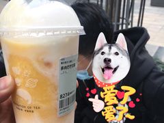-喜茶(深圳海岸城店)
