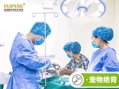 -瑞鹏宠物医院·内科·中兽医·骨科(苗圃店)