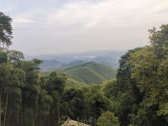 -莫干山风景区