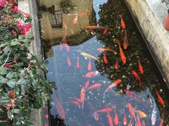 -老洋房花园饭店(绍兴路店)