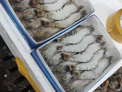 -众彩物流水产市场