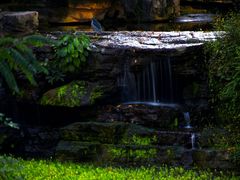 -龙头寺公园