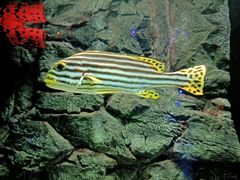 -大连圣亚海洋世界