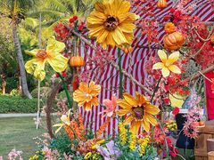 -海南清水湾莱佛士酒店