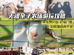 -田园东方蜜桃村的田野营地