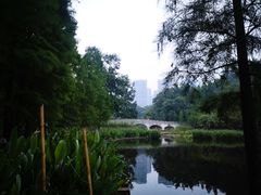 -重庆彩云湖湿地公园