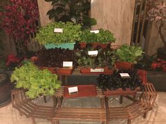 -苏淮景·苏闽融创菜·海鲜(原空港井河轩店)