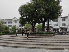 -茯茶镇