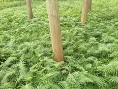 -上海怡沁园度假酒店