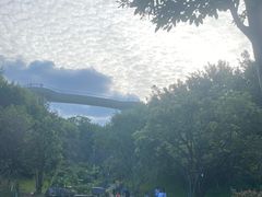 -飞凤山奥体公园