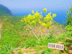 -棒棰岛宾馆景区