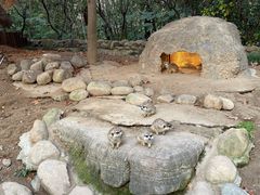 -上海野生动物园