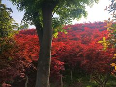 -天河潭旅游度假区