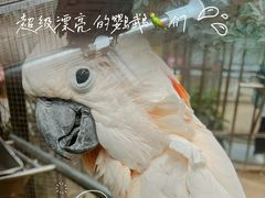 -南宫五洲植物乐园