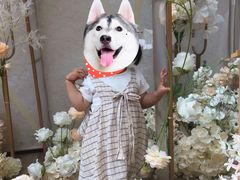 -重庆刘一手火锅(三峡广场直营店)