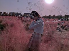 -映月湖中央公园