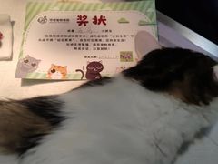 -守诺宠物医院·眼科· 特色牙科·异宠专科(虹口店)