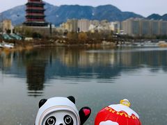 -永定河休闲森林公园