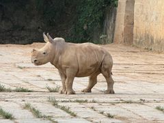 -杭州野生动物世界