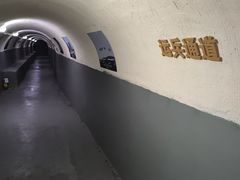 -枫泾古镇-人民公社旧址