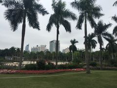 -南宁南湖公园