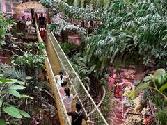 -正佳雨林生态植物园